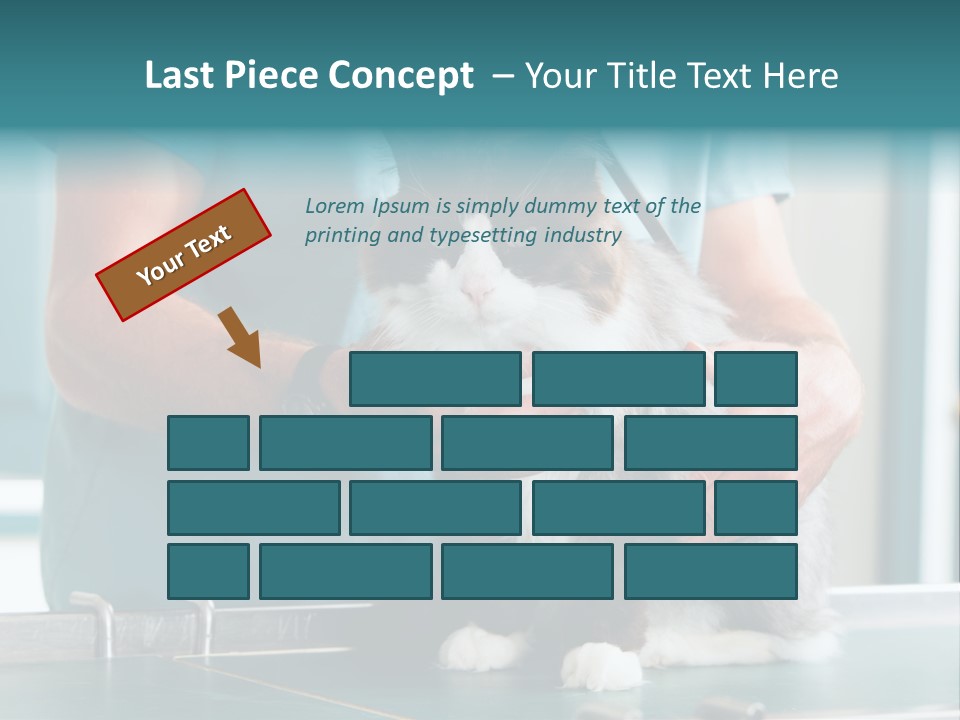 Health Stethoscope Doctor PowerPoint Template