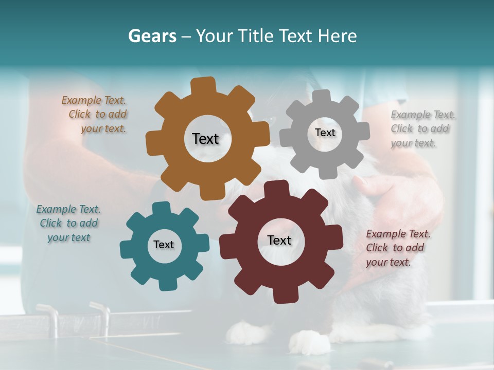 Health Stethoscope Doctor PowerPoint Template