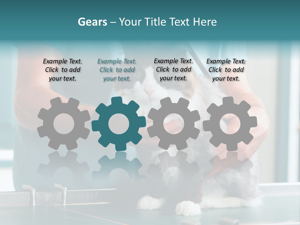 Health Stethoscope Doctor PowerPoint Template