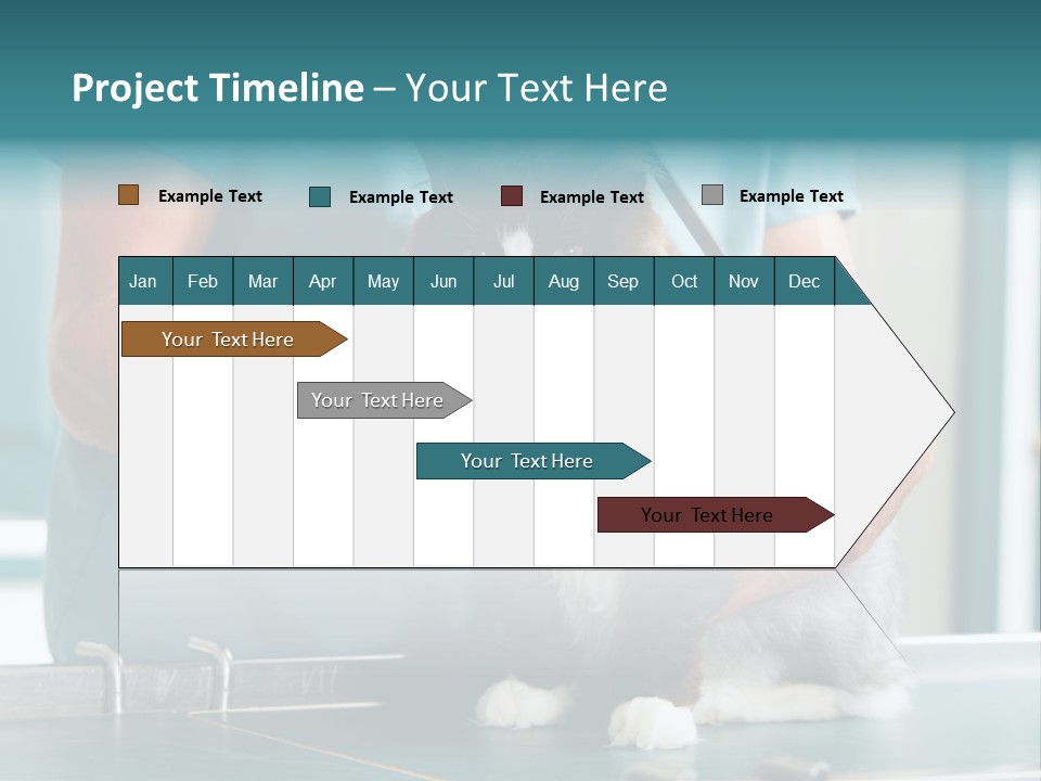 Health Stethoscope Doctor PowerPoint Template