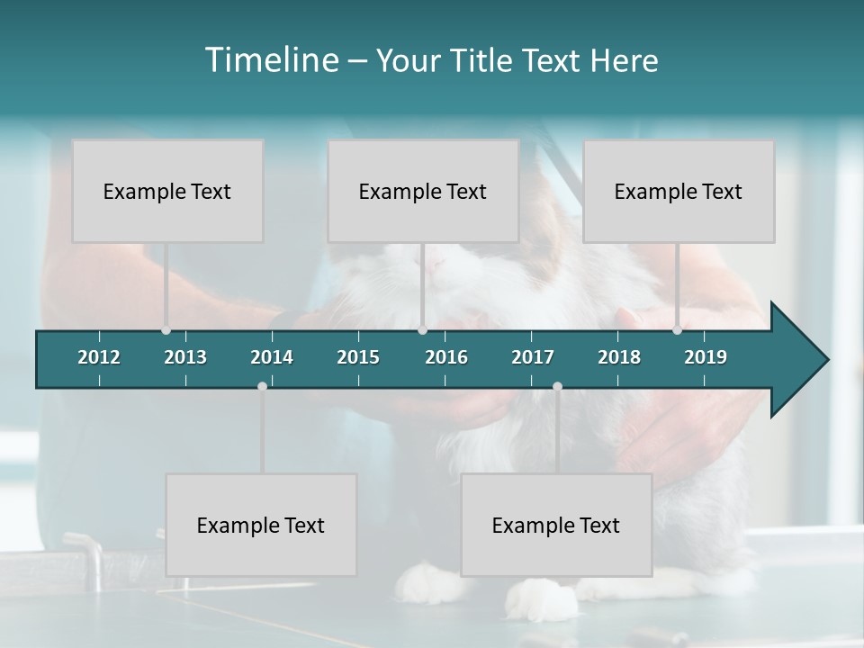 Health Stethoscope Doctor PowerPoint Template