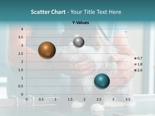 Health Stethoscope Doctor PowerPoint Template