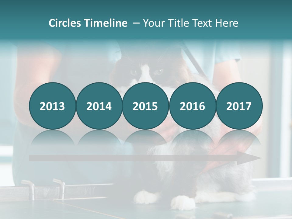 Health Stethoscope Doctor PowerPoint Template