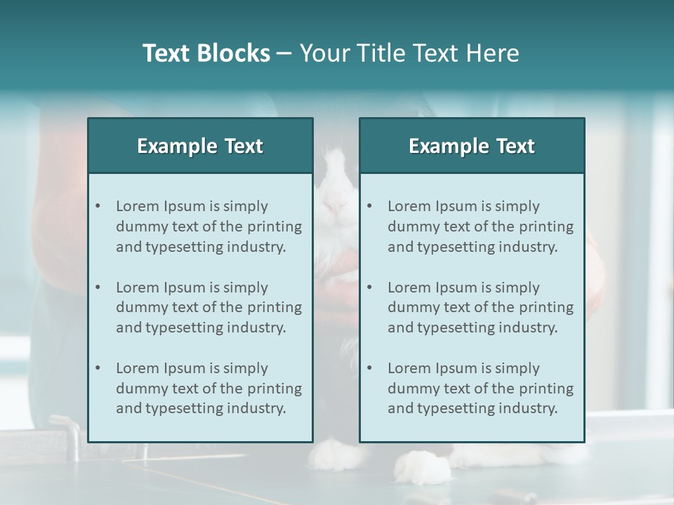Health Stethoscope Doctor PowerPoint Template