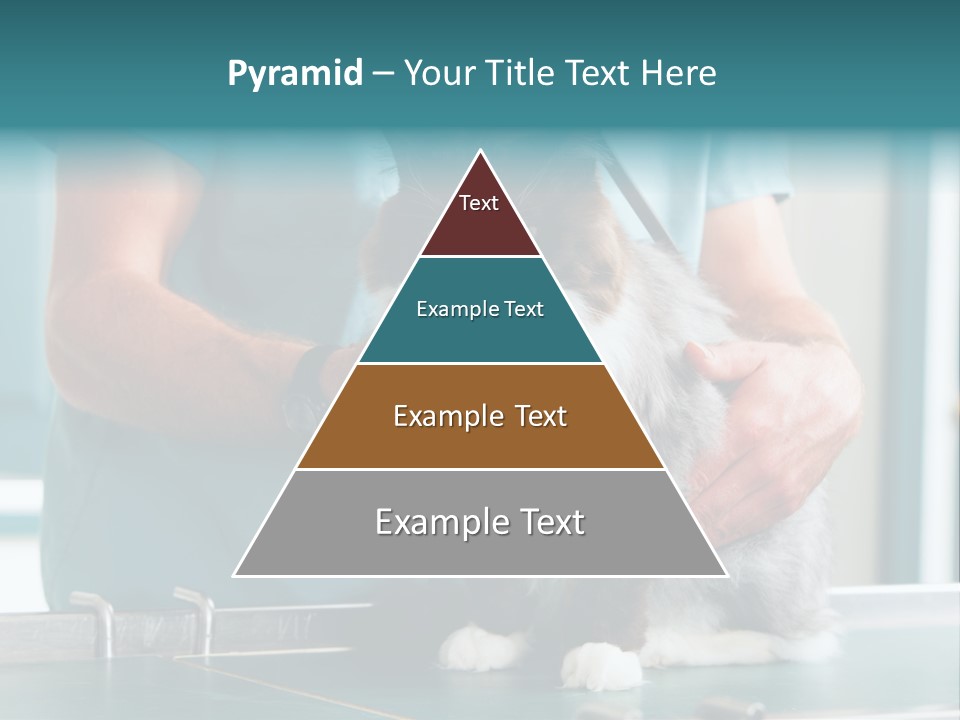 Health Stethoscope Doctor PowerPoint Template