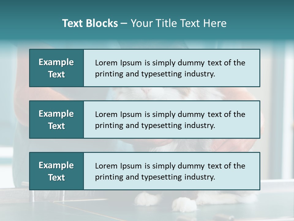 Health Stethoscope Doctor PowerPoint Template
