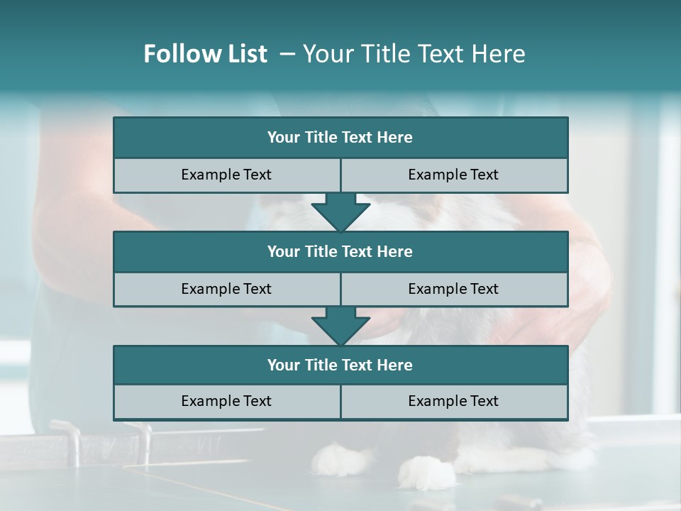 Health Stethoscope Doctor PowerPoint Template