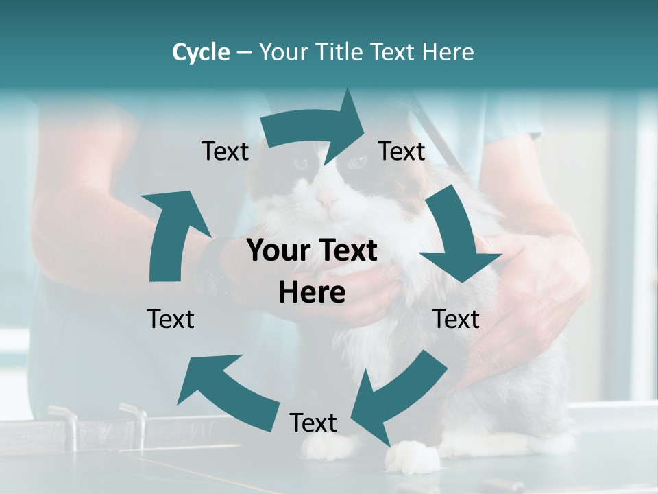 Health Stethoscope Doctor PowerPoint Template