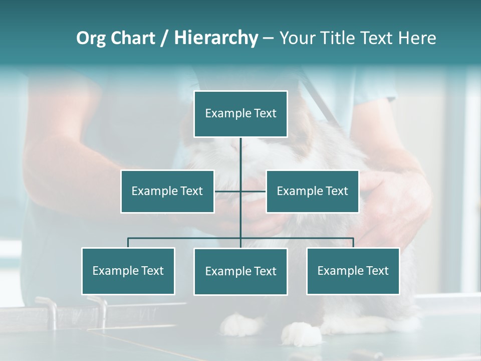 Health Stethoscope Doctor PowerPoint Template