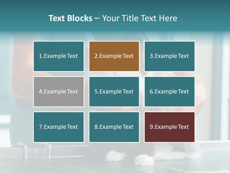 Health Stethoscope Doctor PowerPoint Template