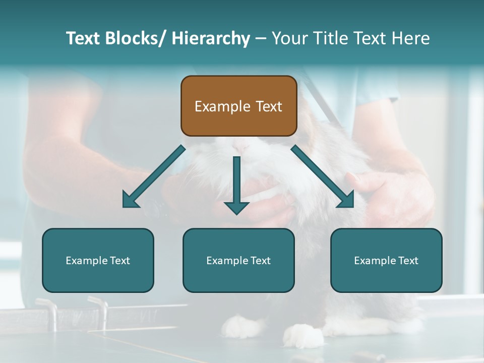 Health Stethoscope Doctor PowerPoint Template