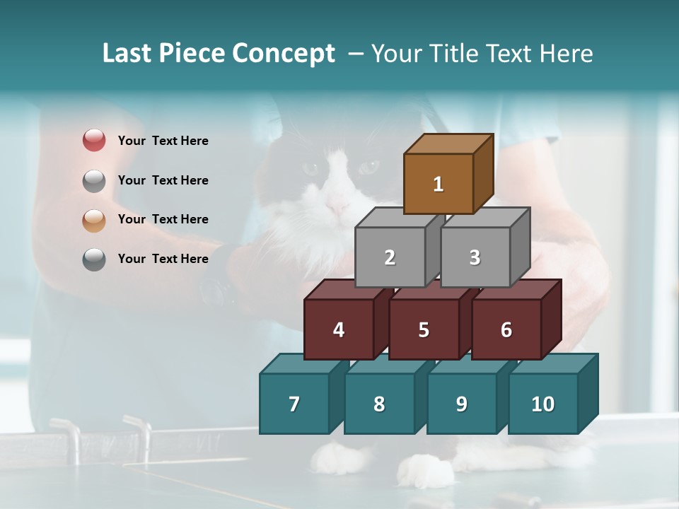 Health Stethoscope Doctor PowerPoint Template