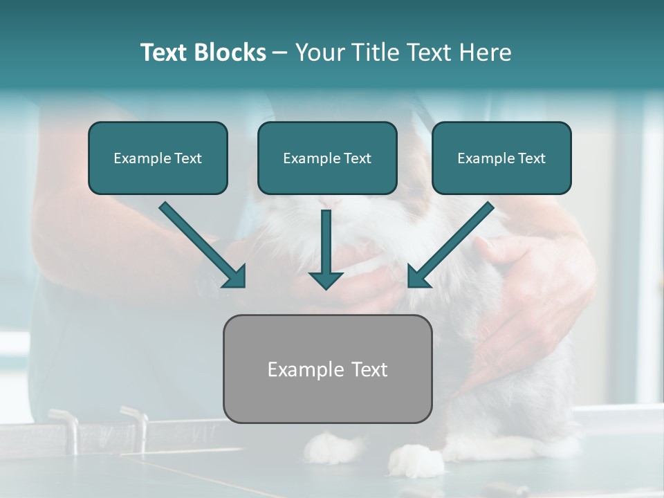Health Stethoscope Doctor PowerPoint Template