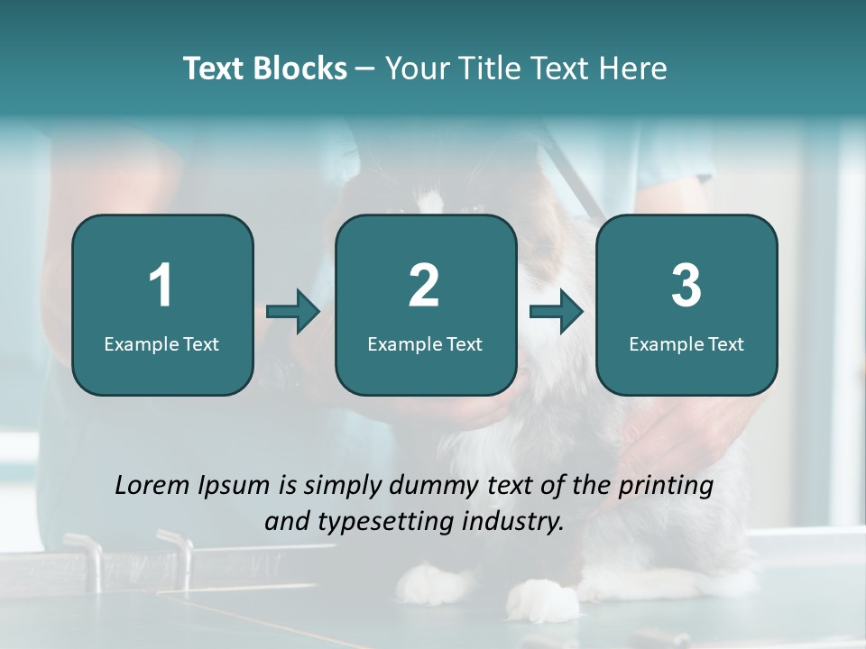 Health Stethoscope Doctor PowerPoint Template