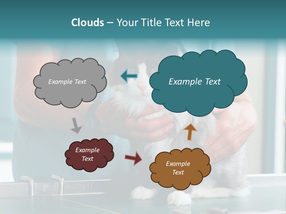 Health Stethoscope Doctor PowerPoint Template