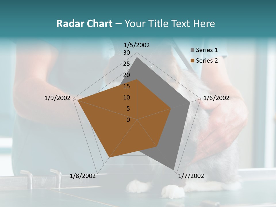 Health Stethoscope Doctor PowerPoint Template