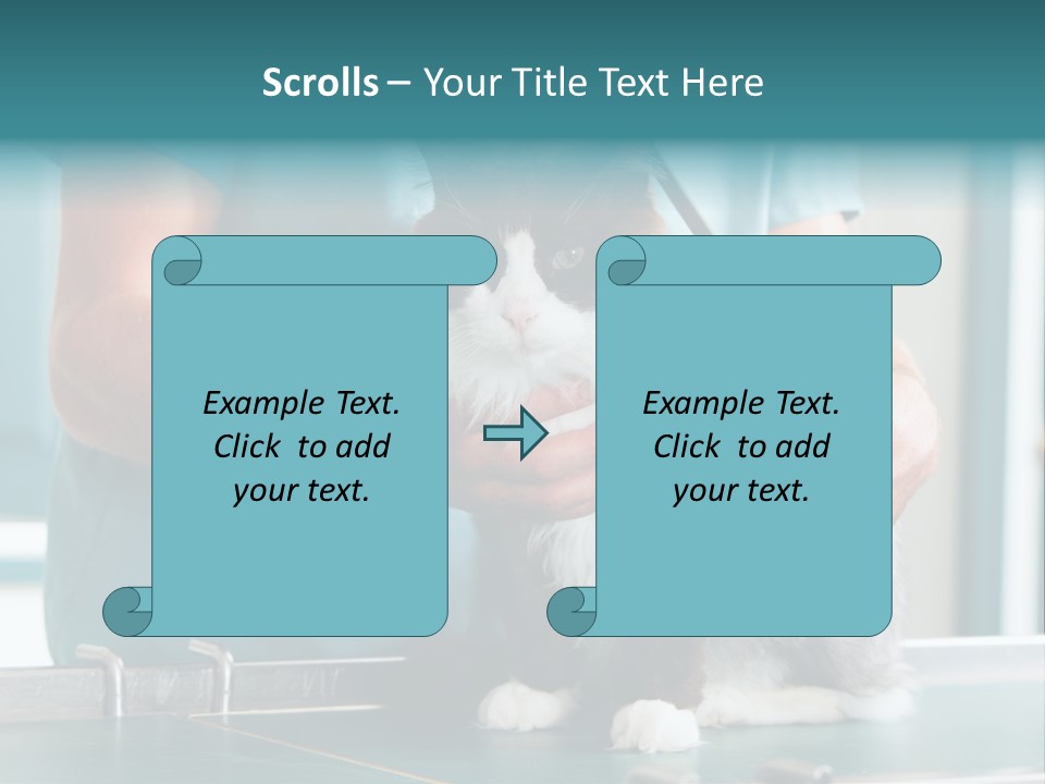 Health Stethoscope Doctor PowerPoint Template