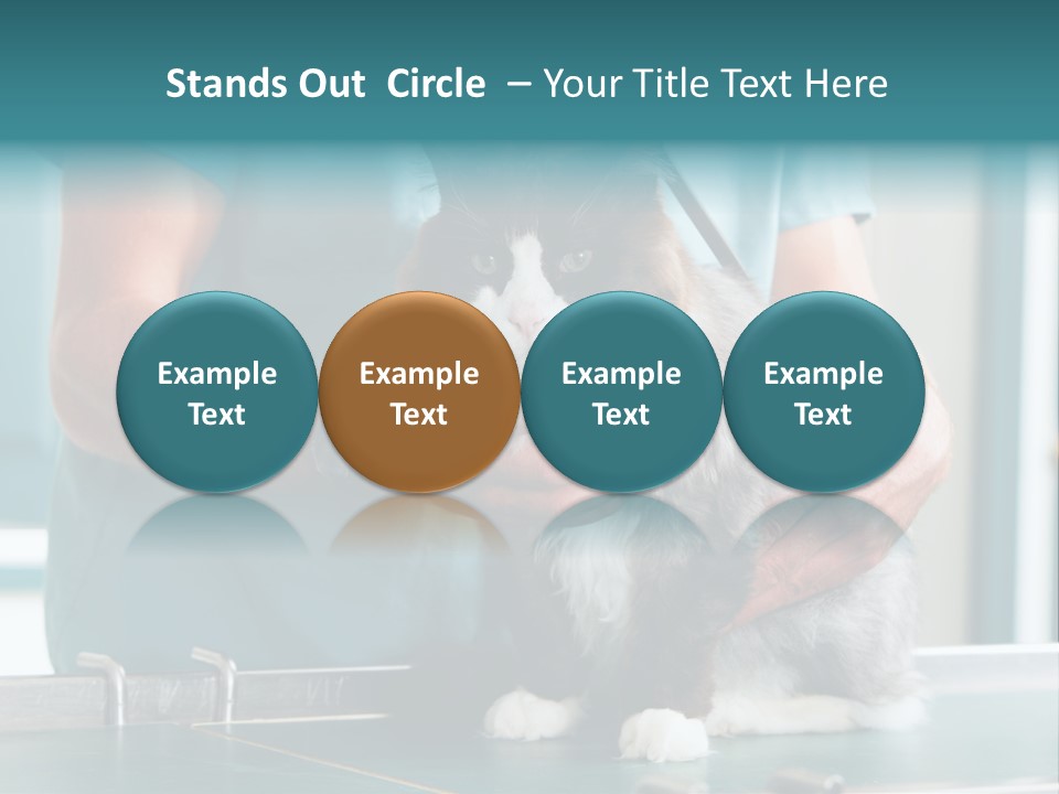 Health Stethoscope Doctor PowerPoint Template