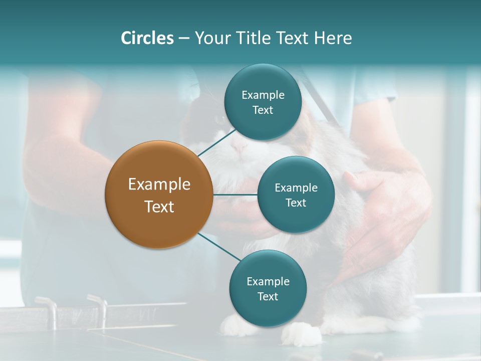 Health Stethoscope Doctor PowerPoint Template