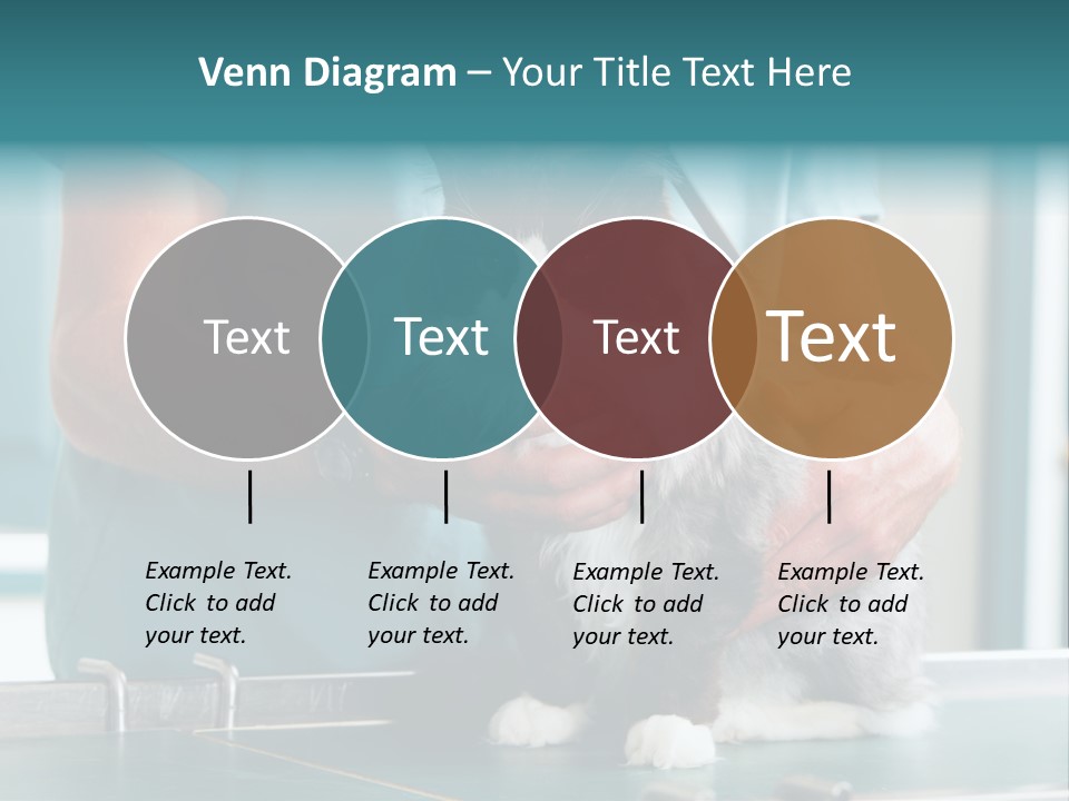 Health Stethoscope Doctor PowerPoint Template