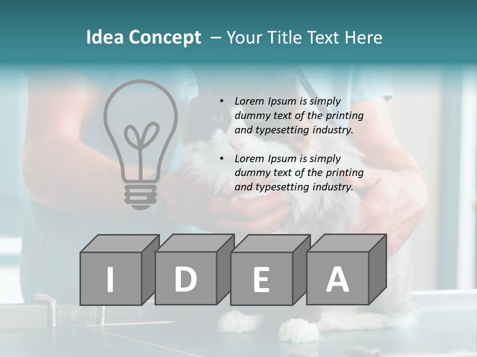 Health Stethoscope Doctor PowerPoint Template