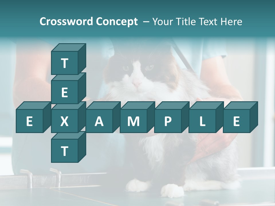 Health Stethoscope Doctor PowerPoint Template