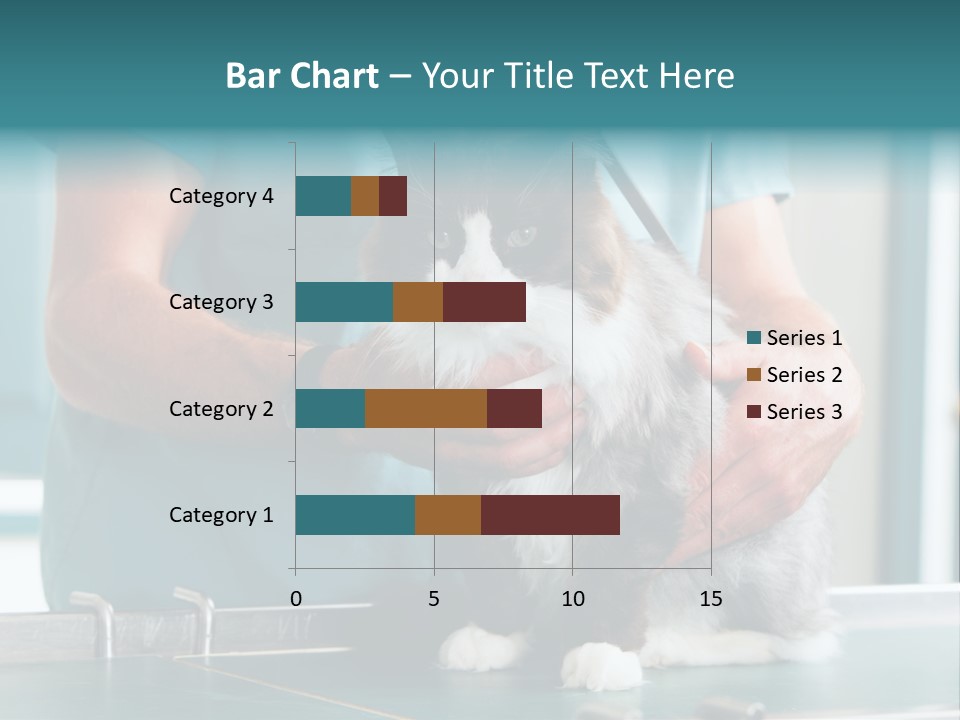 Health Stethoscope Doctor PowerPoint Template