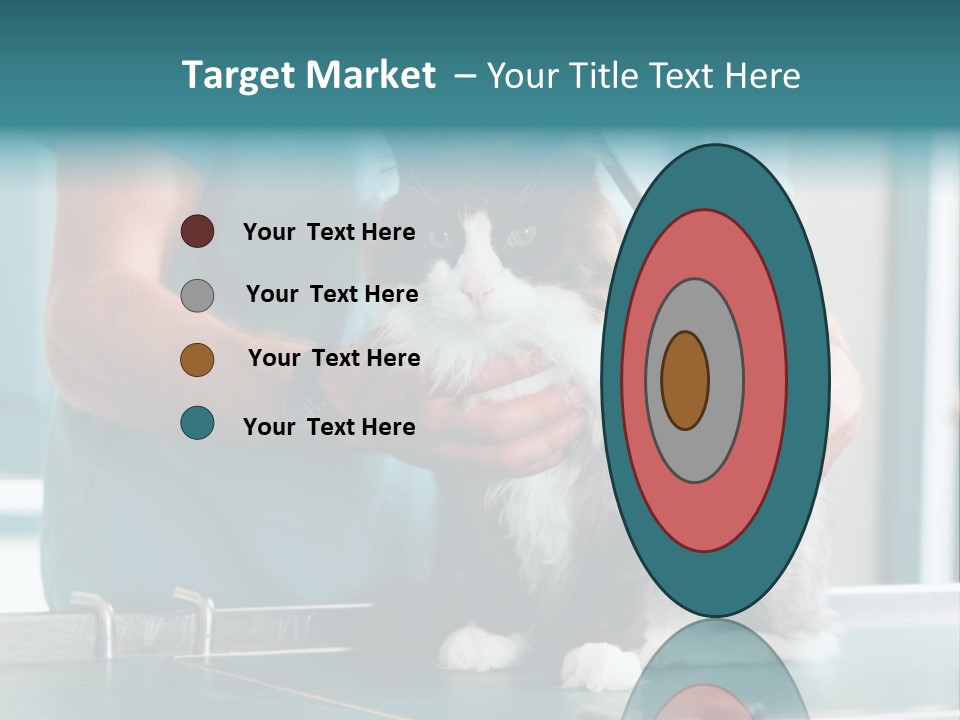 Health Stethoscope Doctor PowerPoint Template