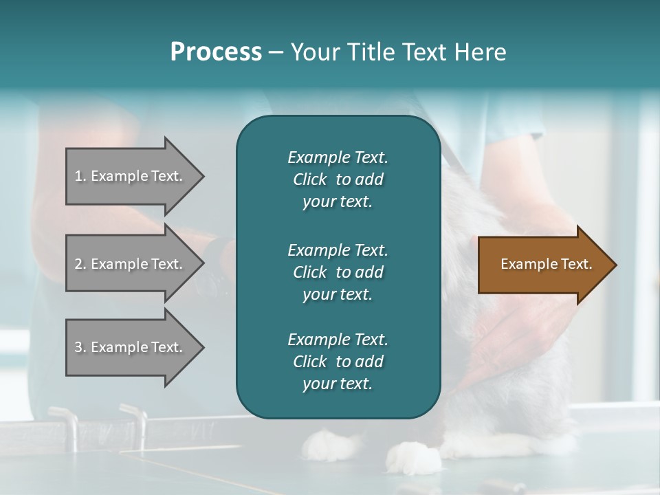 Health Stethoscope Doctor PowerPoint Template