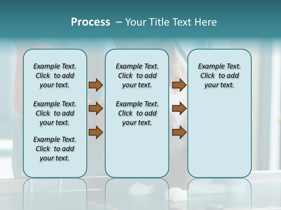 Health Stethoscope Doctor PowerPoint Template