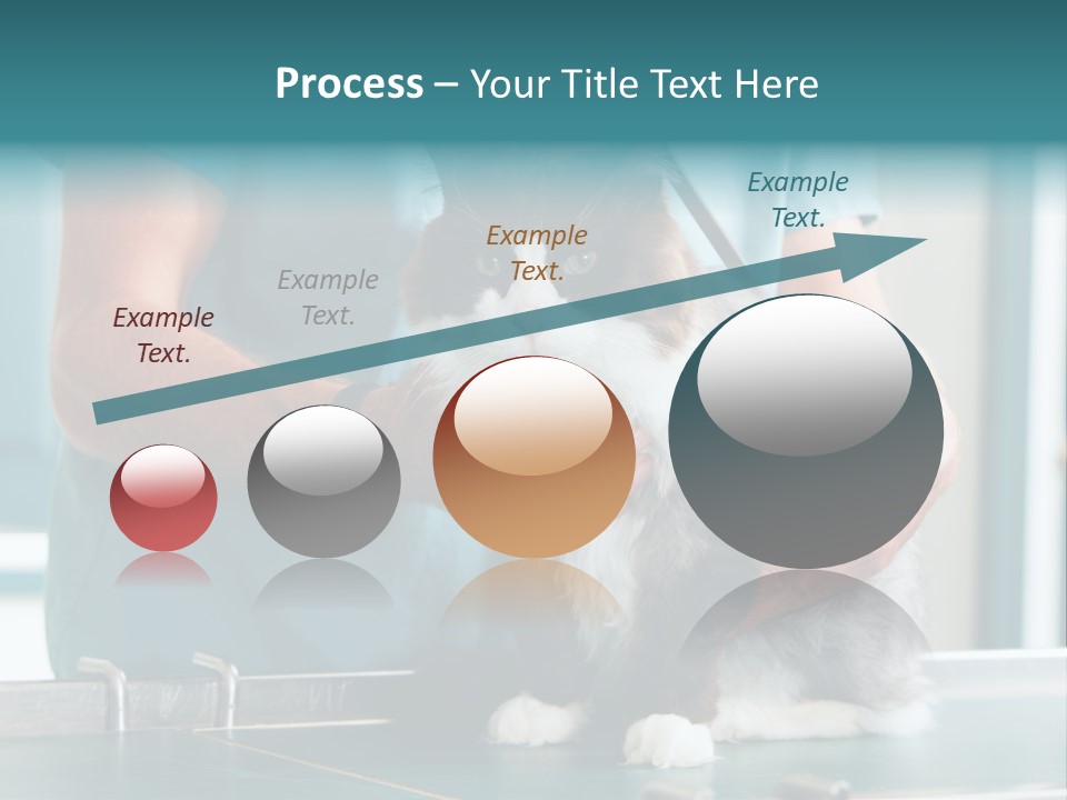 Health Stethoscope Doctor PowerPoint Template
