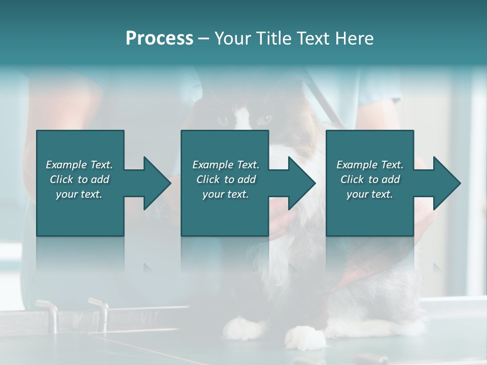 Health Stethoscope Doctor PowerPoint Template