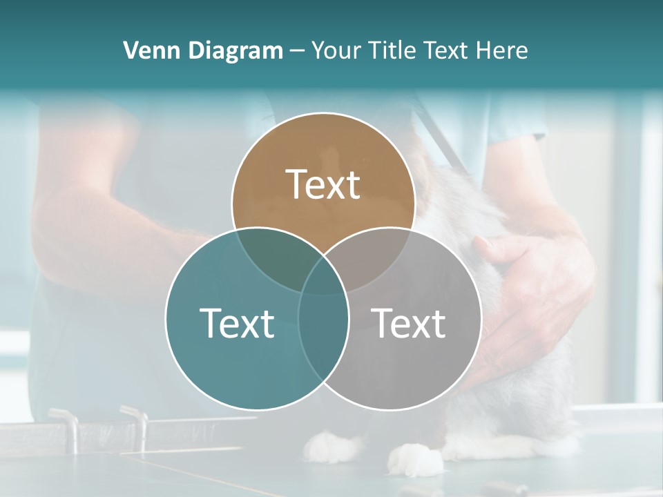 Health Stethoscope Doctor PowerPoint Template