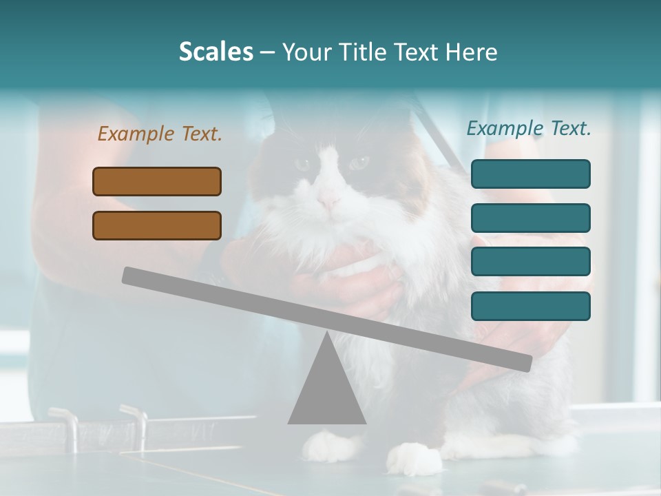 Health Stethoscope Doctor PowerPoint Template