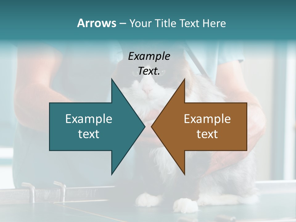 Health Stethoscope Doctor PowerPoint Template
