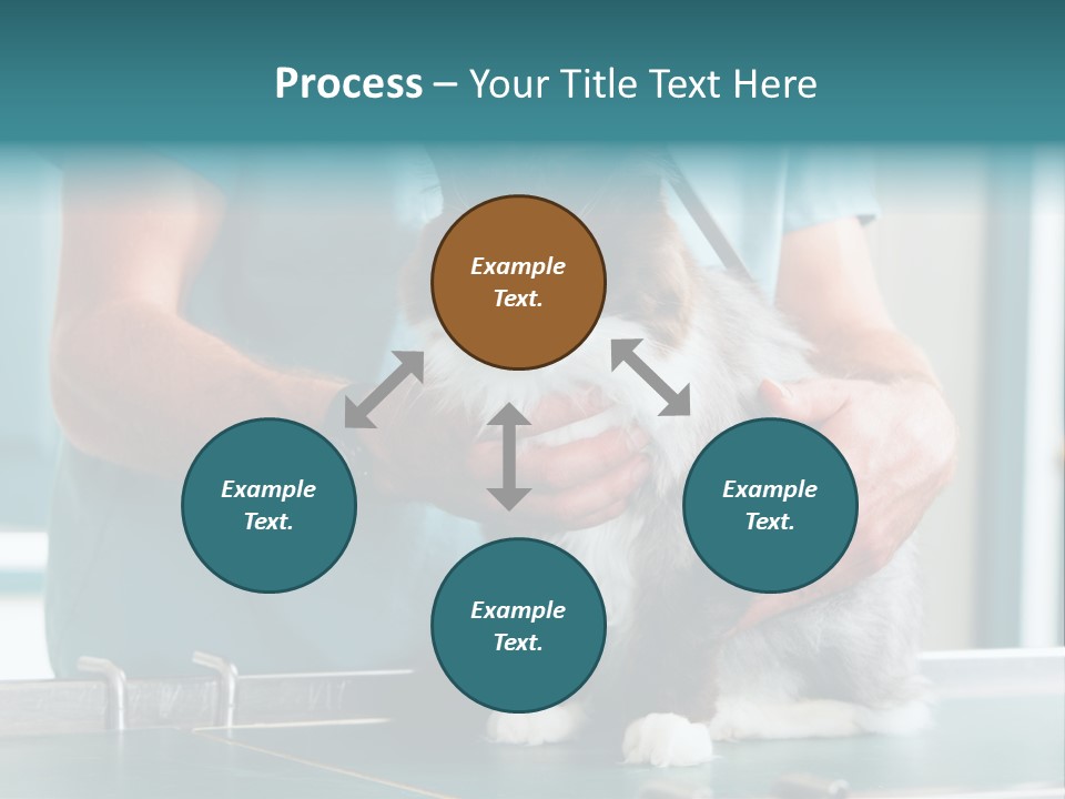 Health Stethoscope Doctor PowerPoint Template