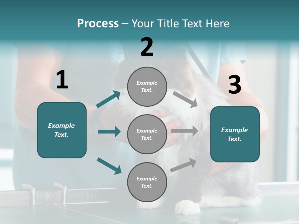 Health Stethoscope Doctor PowerPoint Template
