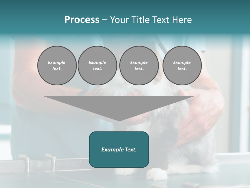Health Stethoscope Doctor PowerPoint Template