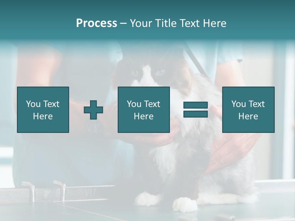Health Stethoscope Doctor PowerPoint Template