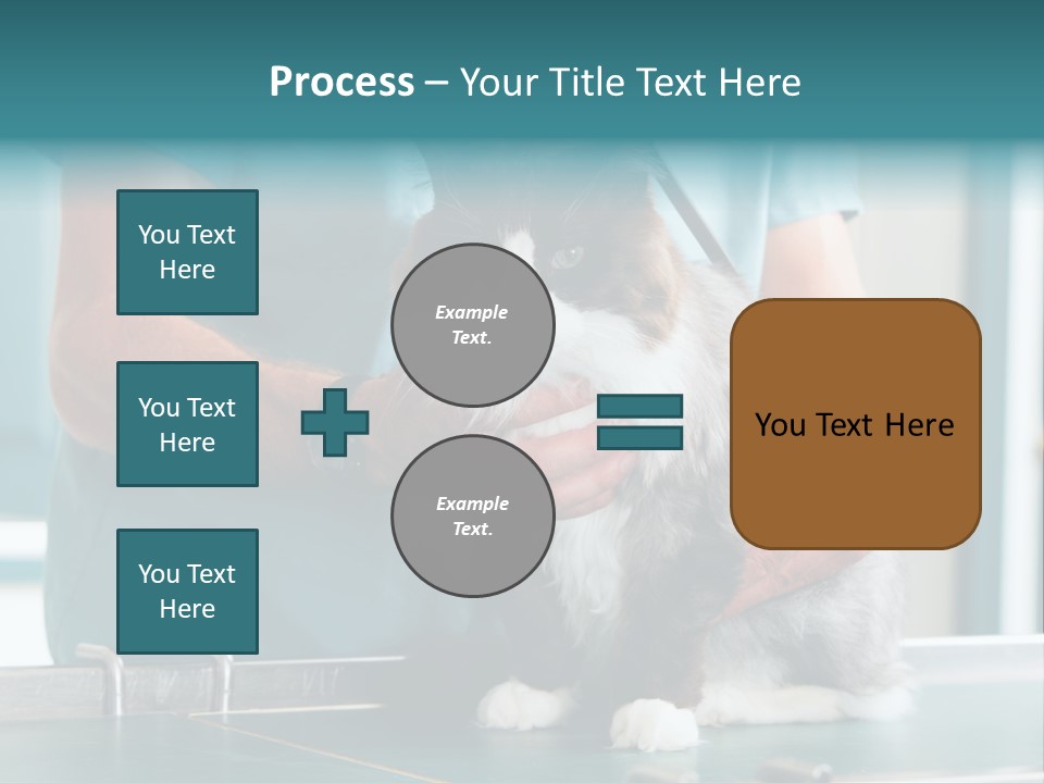 Health Stethoscope Doctor PowerPoint Template