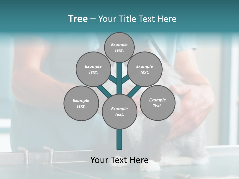 Health Stethoscope Doctor PowerPoint Template