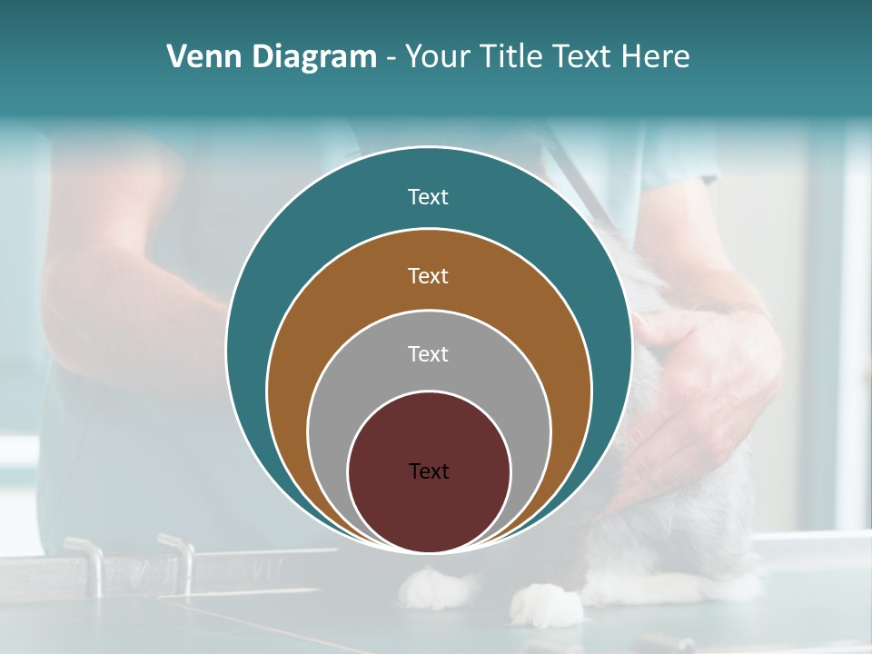 Health Stethoscope Doctor PowerPoint Template