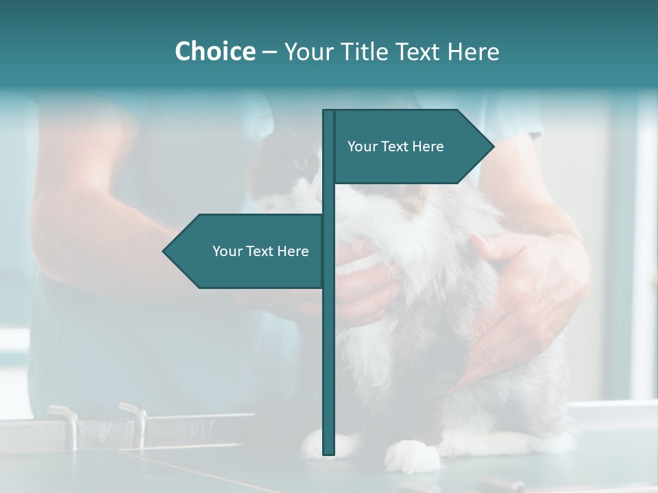 Health Stethoscope Doctor PowerPoint Template