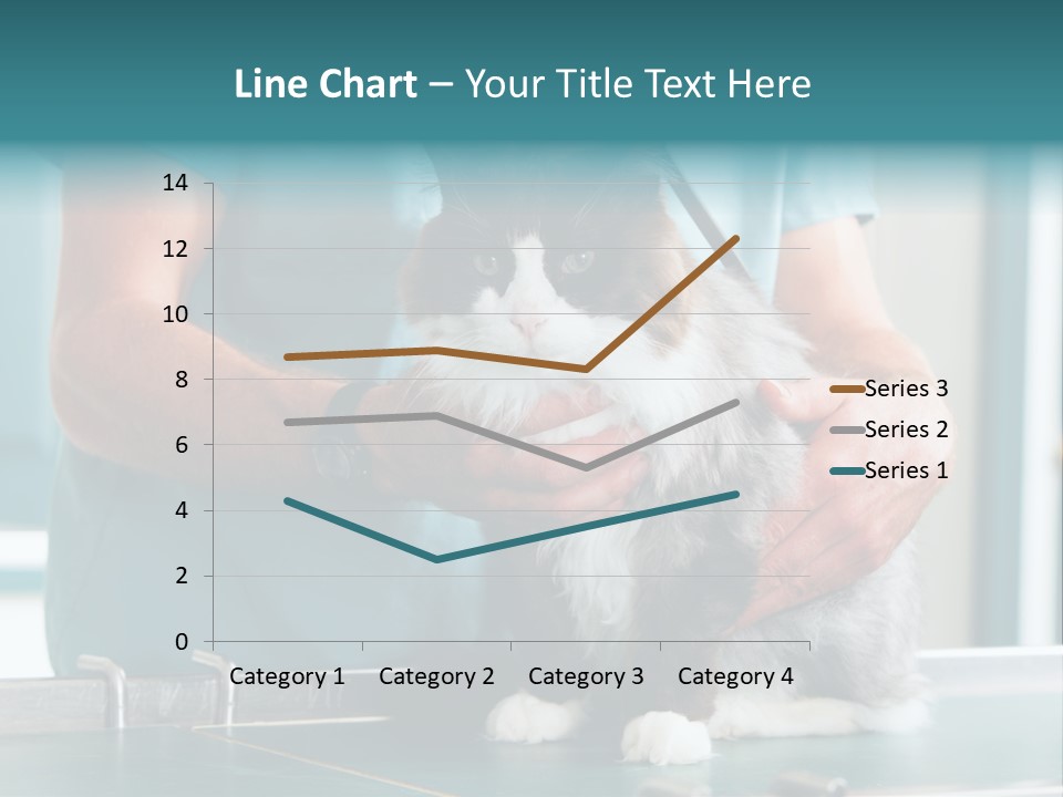 Health Stethoscope Doctor PowerPoint Template