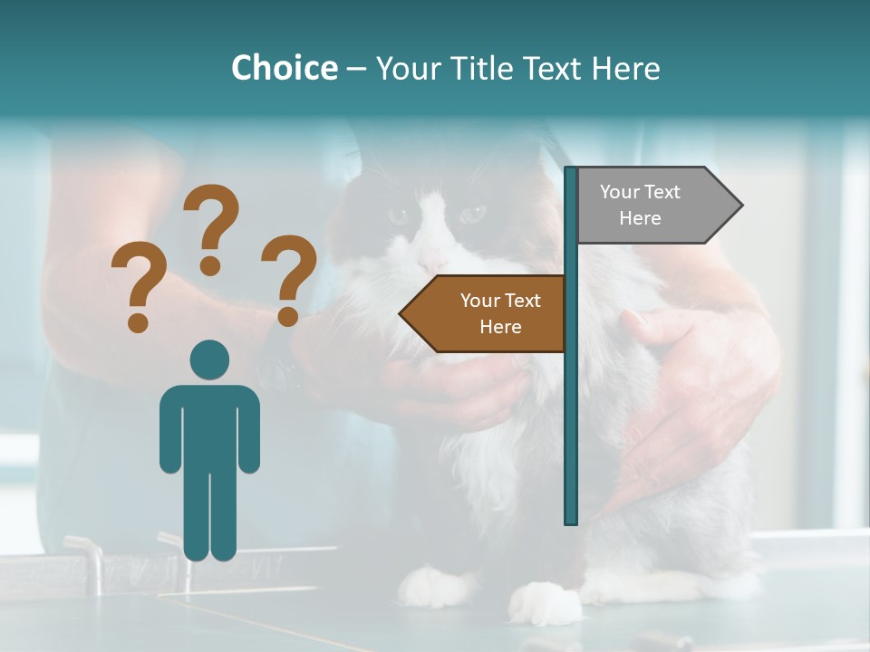 Health Stethoscope Doctor PowerPoint Template