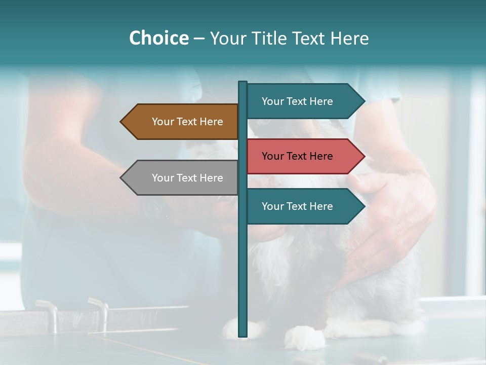 Health Stethoscope Doctor PowerPoint Template