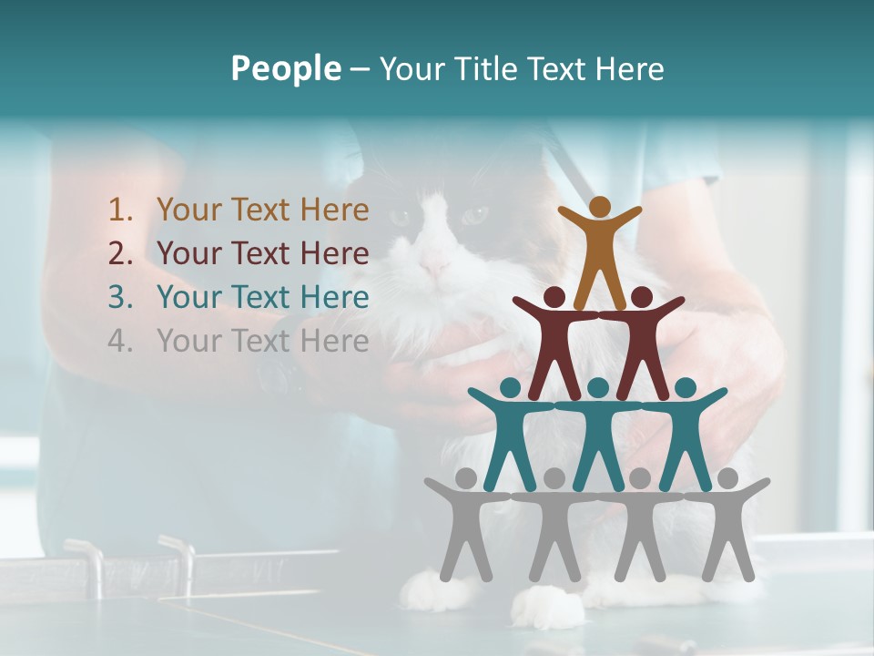 Health Stethoscope Doctor PowerPoint Template