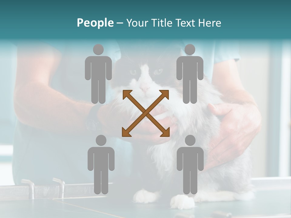 Health Stethoscope Doctor PowerPoint Template