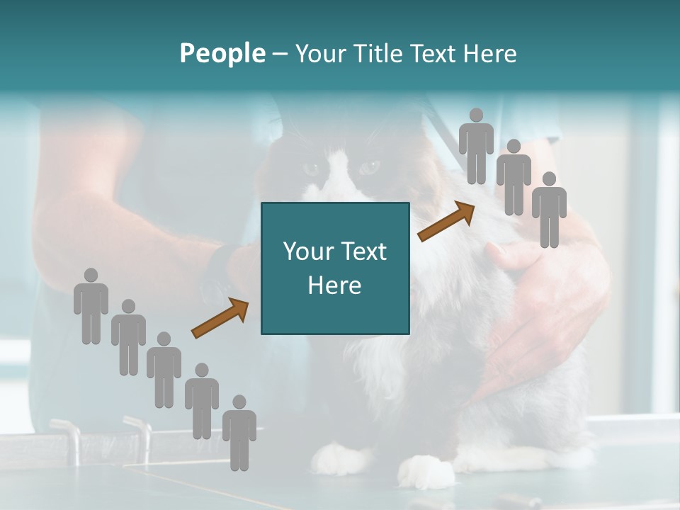 Health Stethoscope Doctor PowerPoint Template