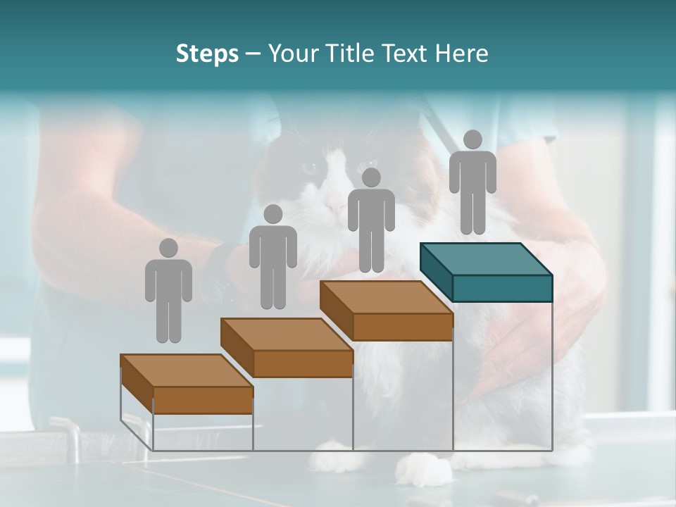 Health Stethoscope Doctor PowerPoint Template